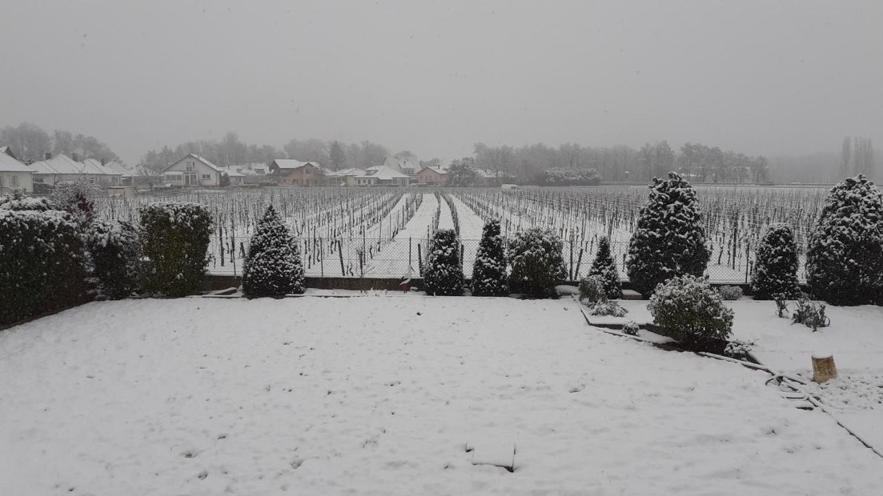 Bed and Breakfast Aux Pieds Des Vignes Ingersheim Exterior foto